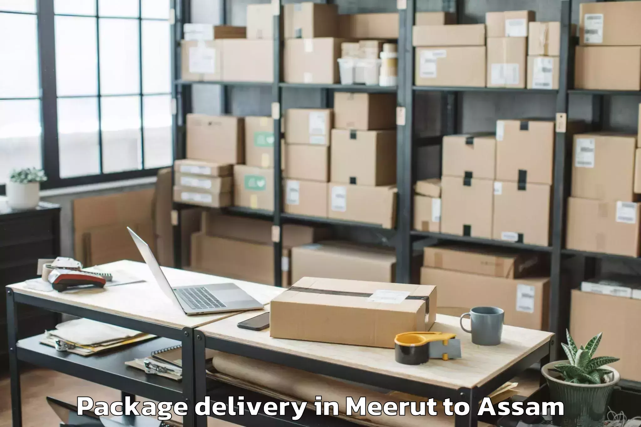 Reliable Meerut to Sibsagar Package Delivery